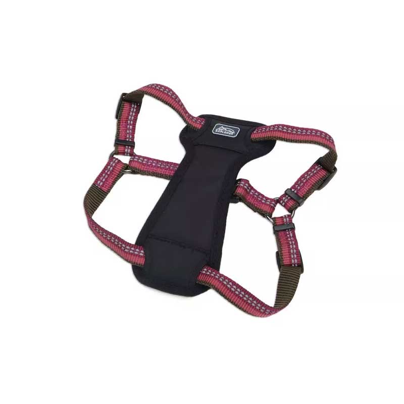 Coastal K9 Explorer Arnés Acolchado para Perros - L / Naranja