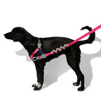 Correa Anti Tirones Ruff "Yucca" Zee.Dog