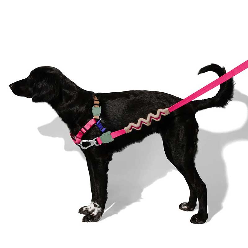 Correa Anti Tirones Ruff "Yucca" Zee.Dog