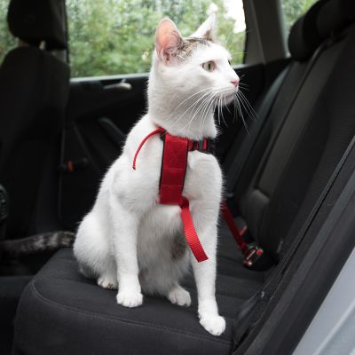 Arnés de Automóvil para Gatos