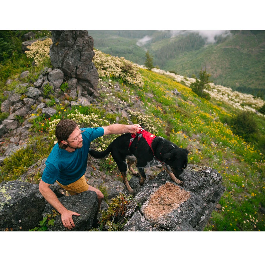 Arnés "Flagline" Ruffwear para Perros - Linchen Green / Medium