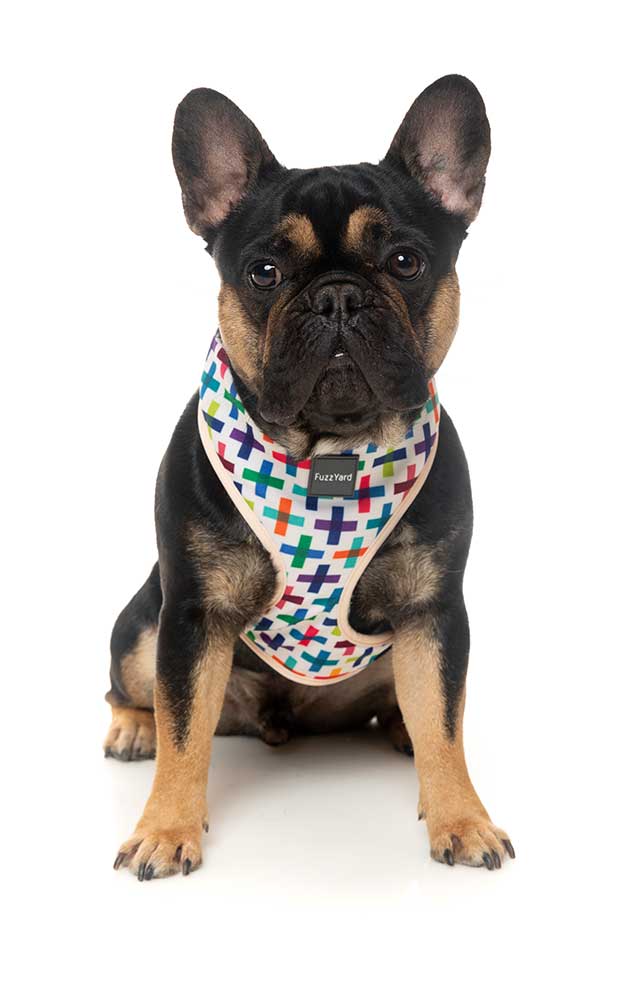 Arnés para Perros "Jenga" Fuzzyard