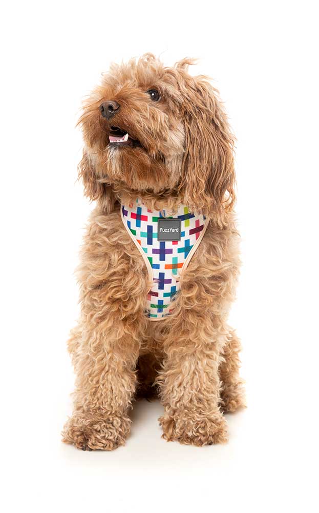 Arnés para Perros "Jenga" Fuzzyard