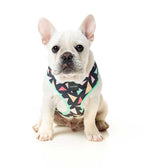 Arnés para Perros "Rad" Fuzzyard - L