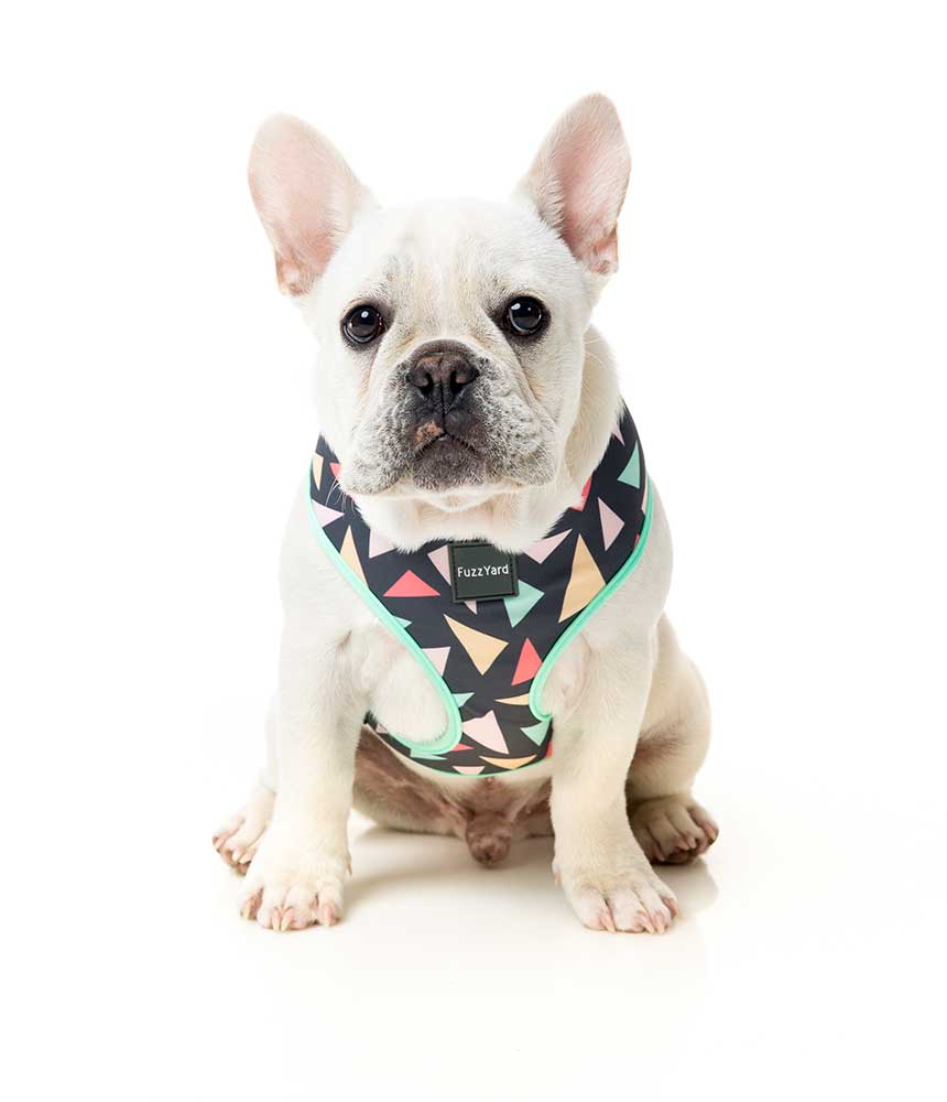 Arnés para Perros "Rad" Fuzzyard
