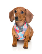 Arnés para Perros "The Hive" Fuzzyard