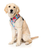 Arnés para Perros "The Hive" Fuzzyard - XL