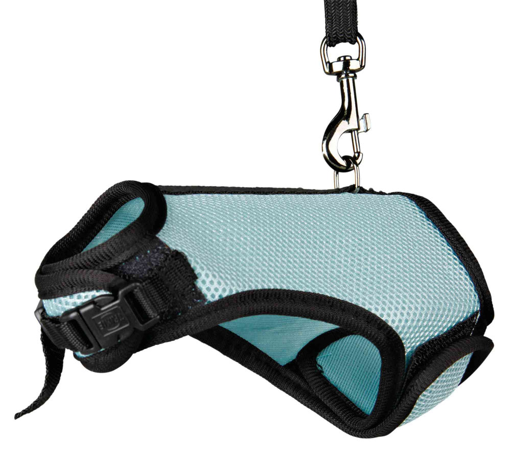 Arnés y Correa Trixie para Pequeños Animales 