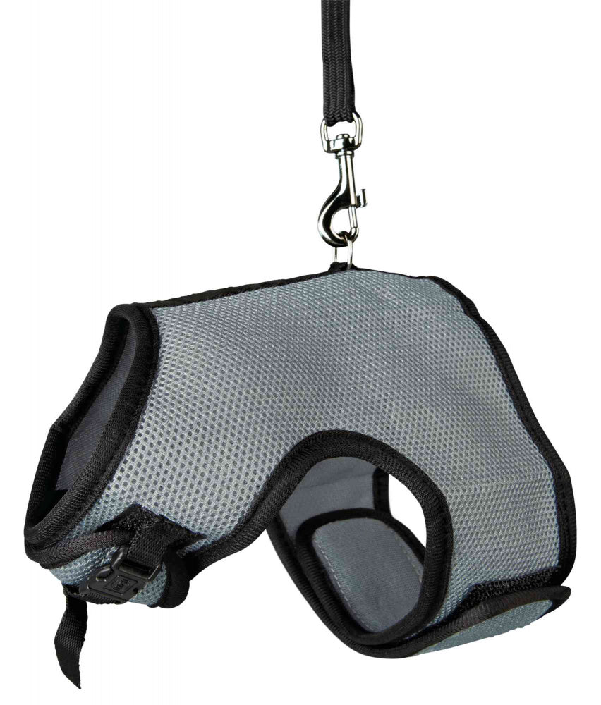 Arnés y Correa Trixie para Pequeños Animales 