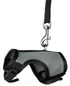 Arnés y Correa Trixie para Pequeños Animales 