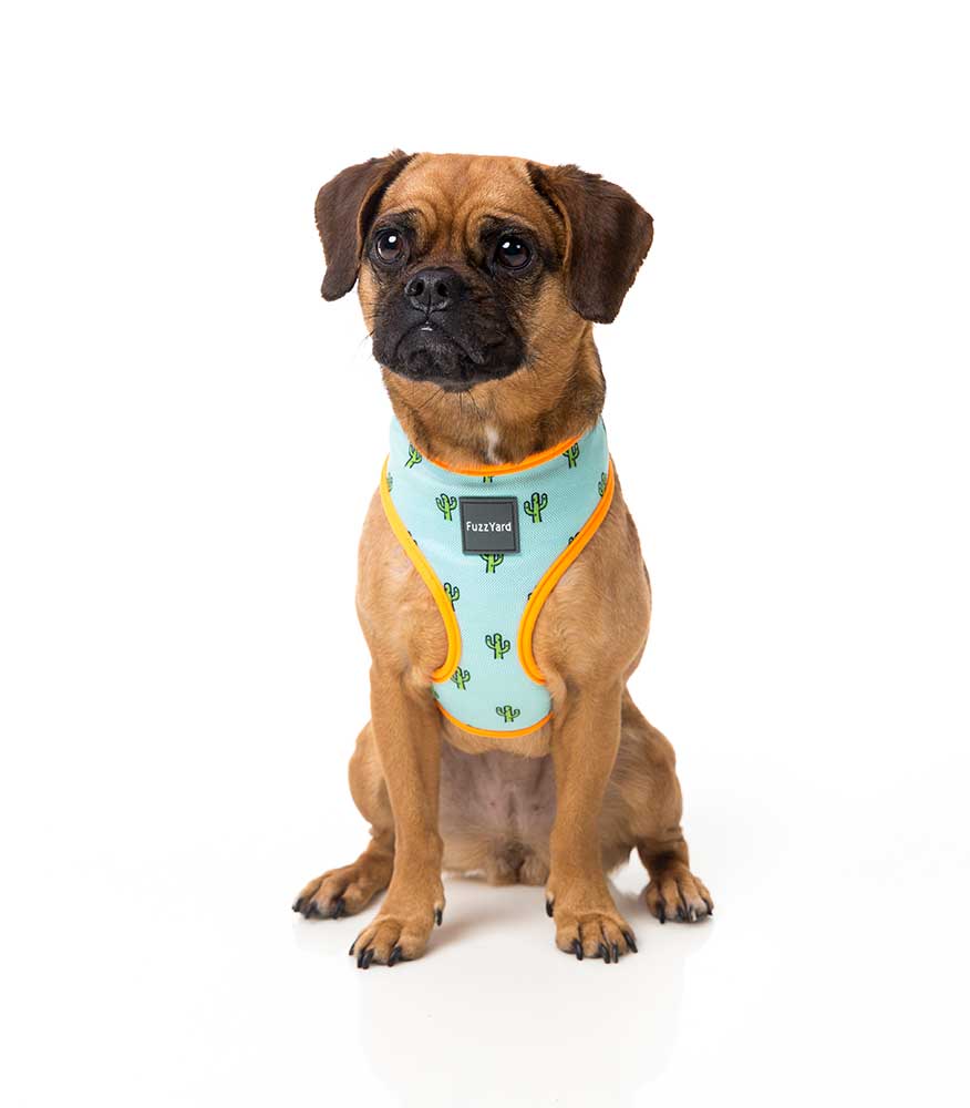 Arnés para Perros "Tucson" Fuzzyard - XL