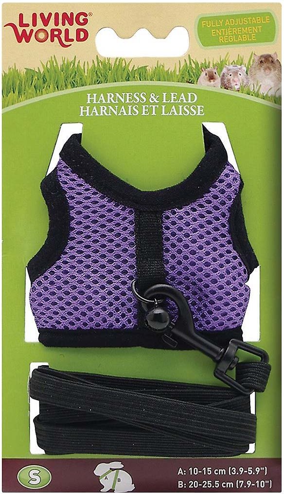 Arnés y Correa Living World