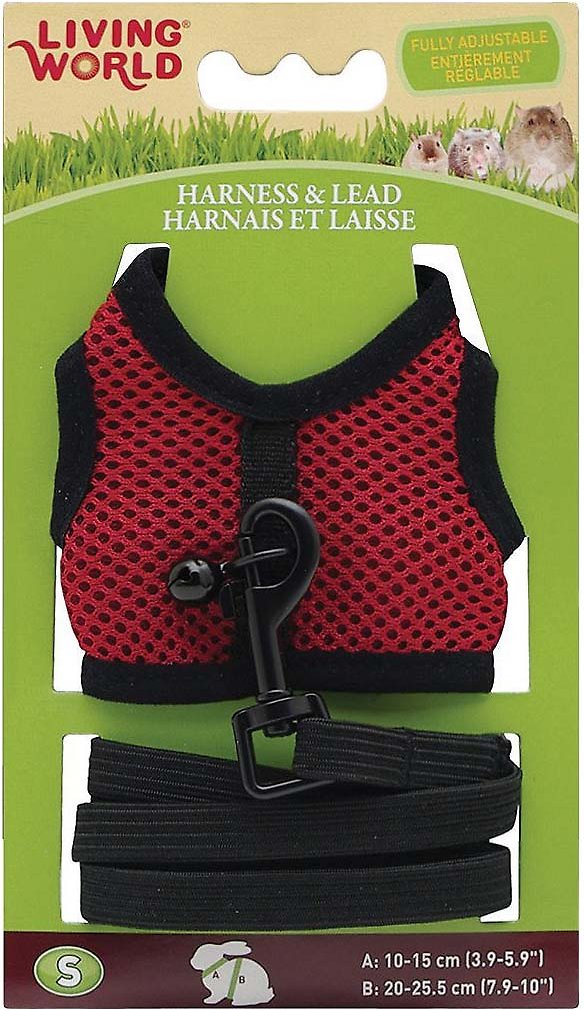 Arnés y Correa Living World