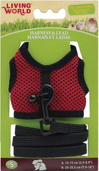 Arnés y Correa Living World