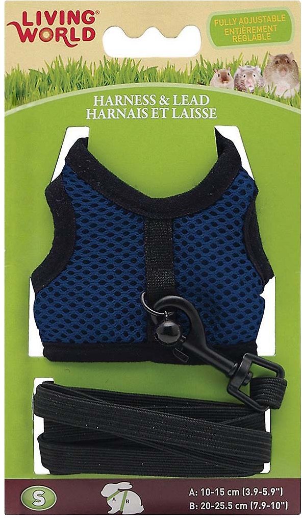 Arnés y Correa Living World