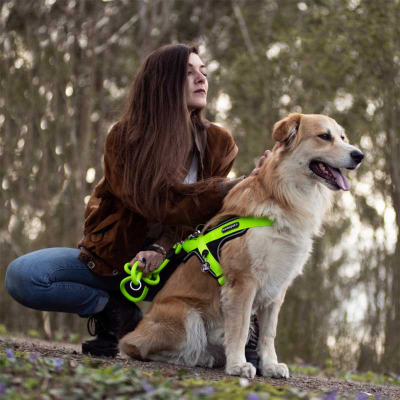 My Family Arnés NFC Memopet para Perros Verde