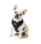 Arnés para Perros "Yeezy" Fuzzyard - L