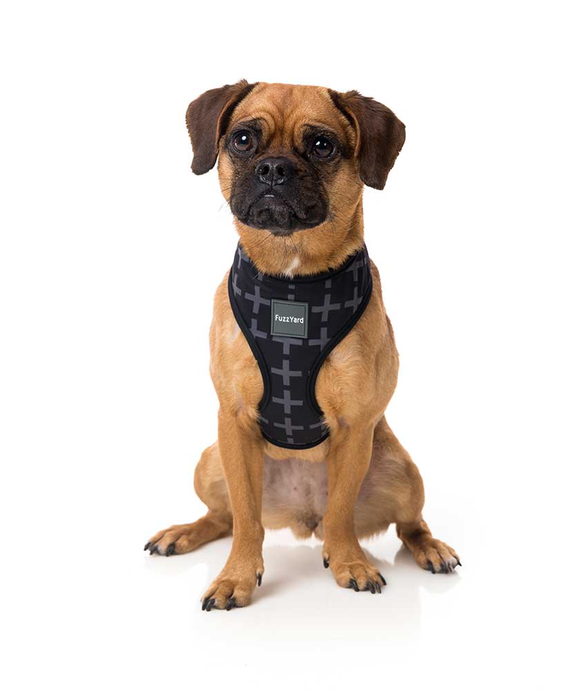 Arnés para Perros "Yeezy" Fuzzyard - XL