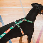 Arnés H para Perros "Hawkins Stranger Things" Zee.Dog - L