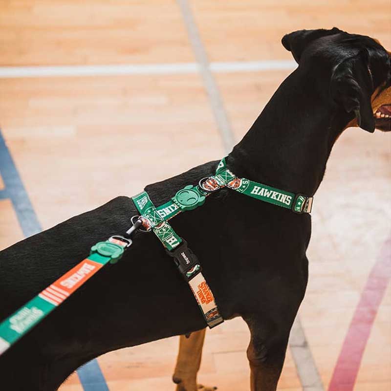 Arnés H para Perros "Hawkins Stranger Things" Zee.Dog - S