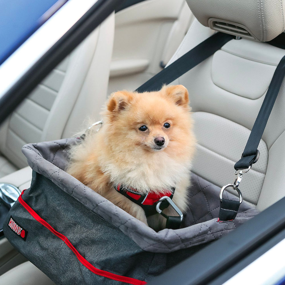 Asiento para Vehículo "Kong Travel"