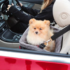 Asiento para Vehículo "Kong Travel"