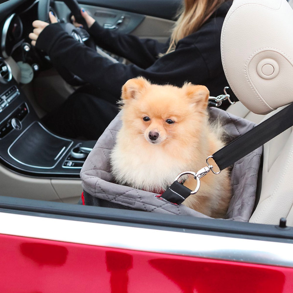 Asiento para Vehículo "Kong Travel"