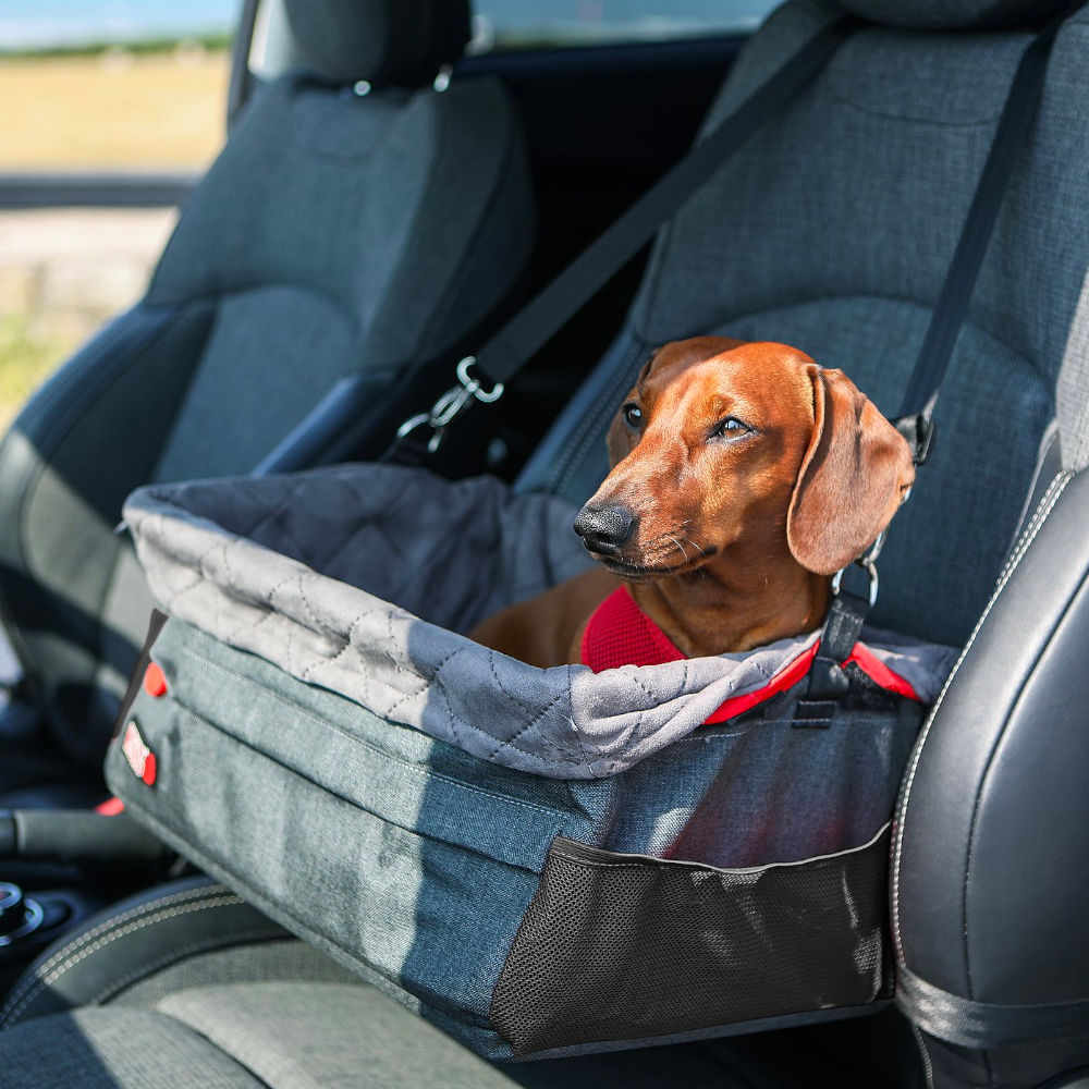 Asiento para Vehículo "Kong Travel"