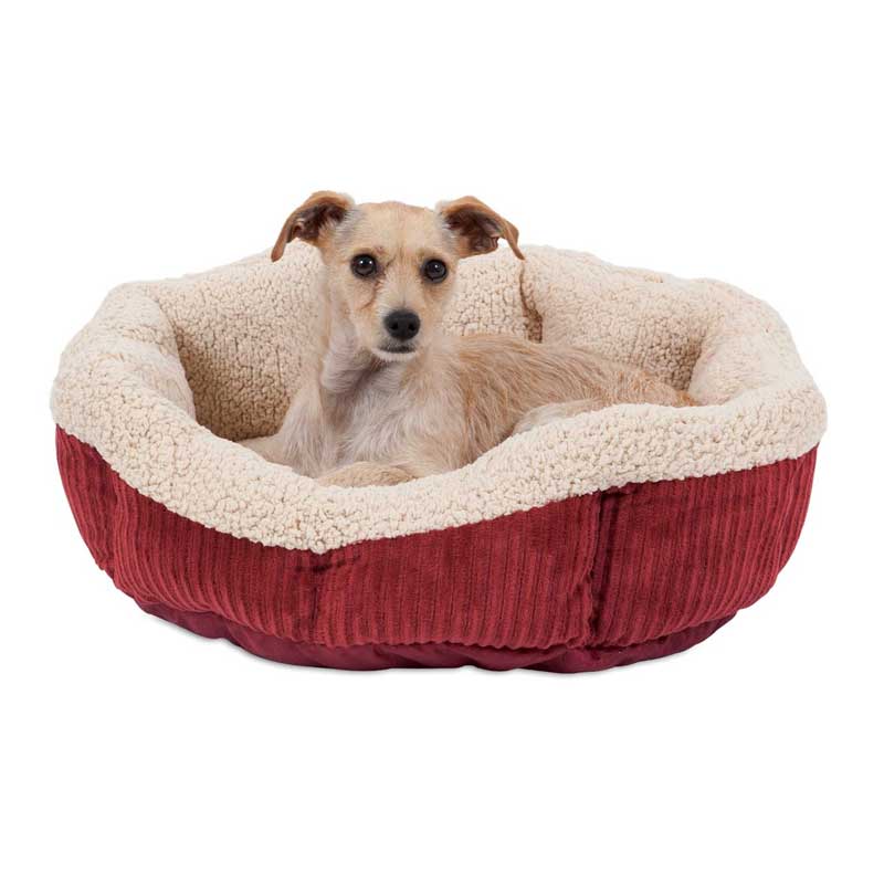 Cama Autotérmica Circular