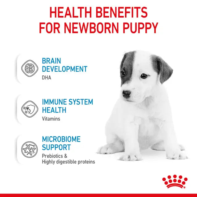 Royal Canin Babydog Milk Leche para Cachorros 400 g