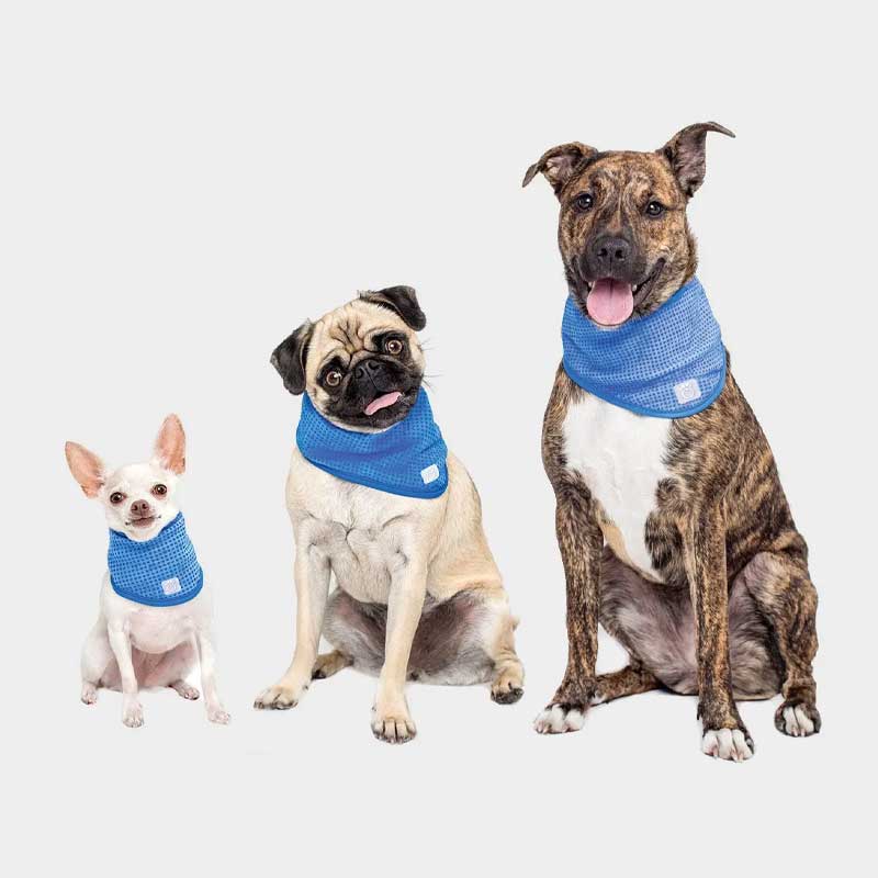Bandana Refrescante GF Pet