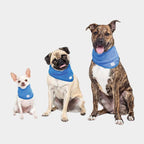 Bandana Refrescante GF Pet