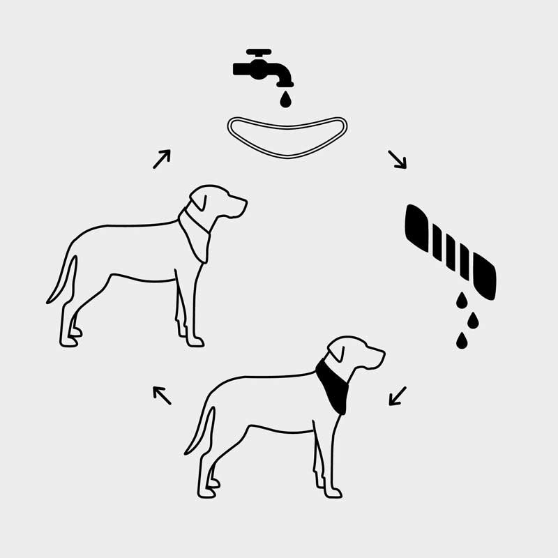 Bandana Refrescante GF Pet