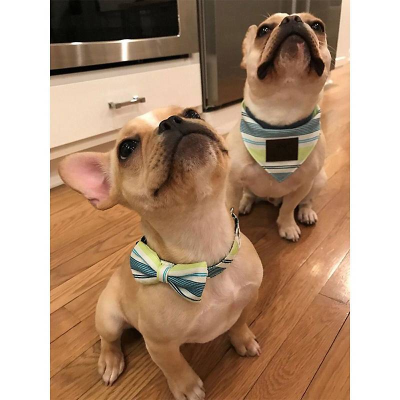 Bandana para Perros Reversible