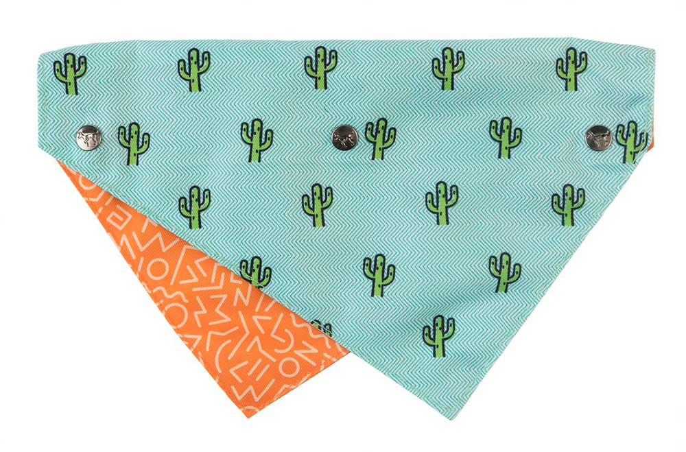 Bandana para Mascotas "Tucson" Fuzzyard 