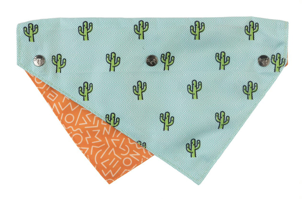 Bandana para Mascotas "Tucson" Fuzzyard  - S/M