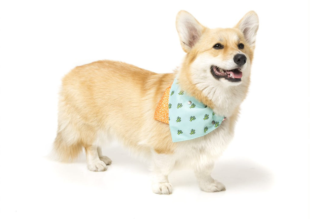 Bandana para Mascotas "Tucson" Fuzzyard  - M/L