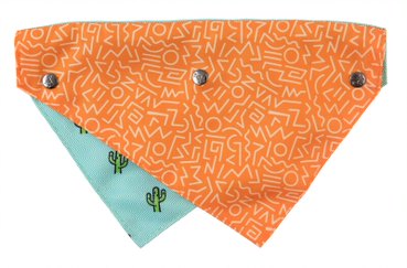 Bandana para Mascotas "Tucson" Fuzzyard 