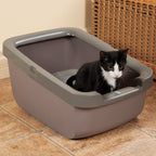 Bandeja Sanitaria Alta con Borde Grueso para Gatos