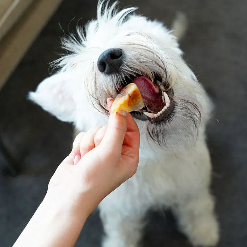 Barker Snacks Casquitos de Cerdo para Perros 30 unidades