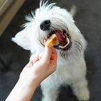 Barker Snacks Casquitos de Cerdo para Perros 30 unidades