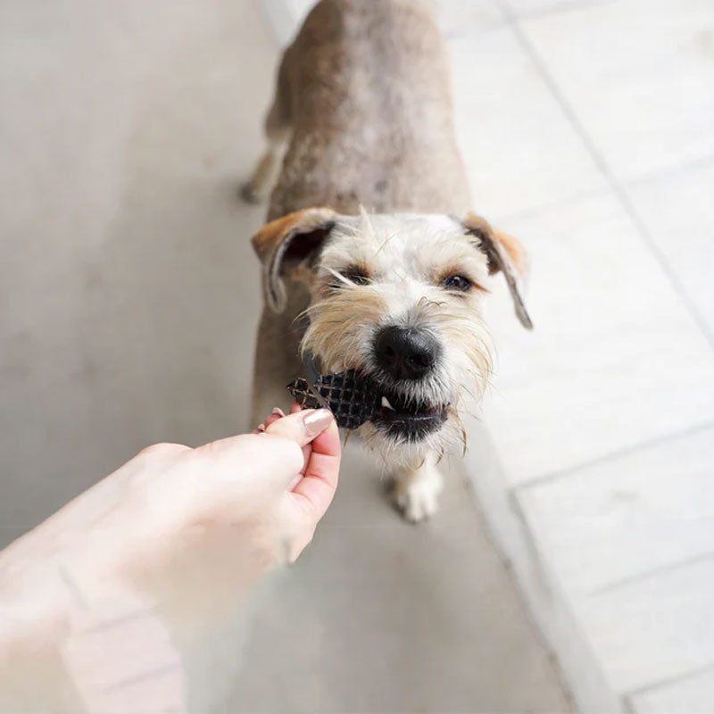 Barker Bites Hígado de Res para Perros y Gatos 100 g