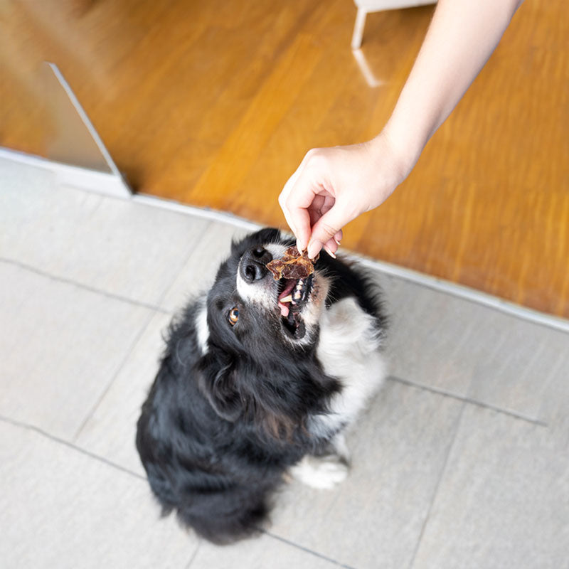 Barker Bites Mollejas de Pollo para Perros y Gatos 100g