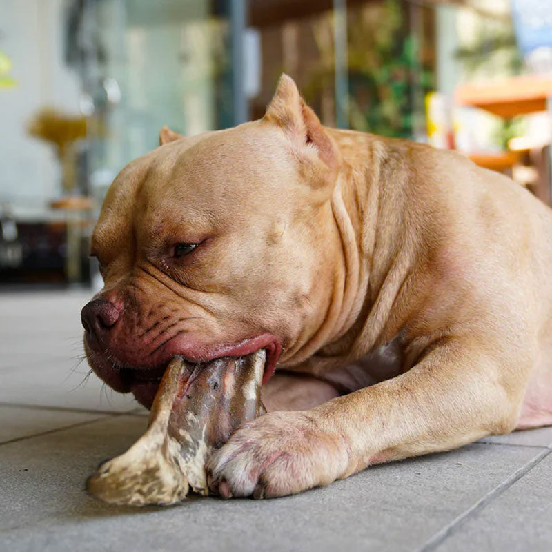 Barker Snacks Orejas de Res para Perros 3 unidades