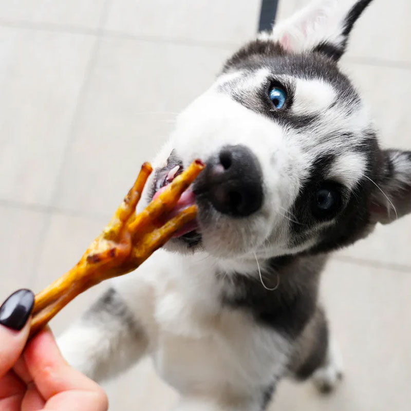 Barker Snacks Patas de Pollo para Perros 20 unidades