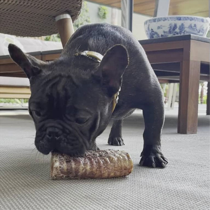 Barker Snacks Tráqueas de Res para Perros 4 unidades