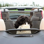 Barrera Protectora para Asientos "Kong Travel" 