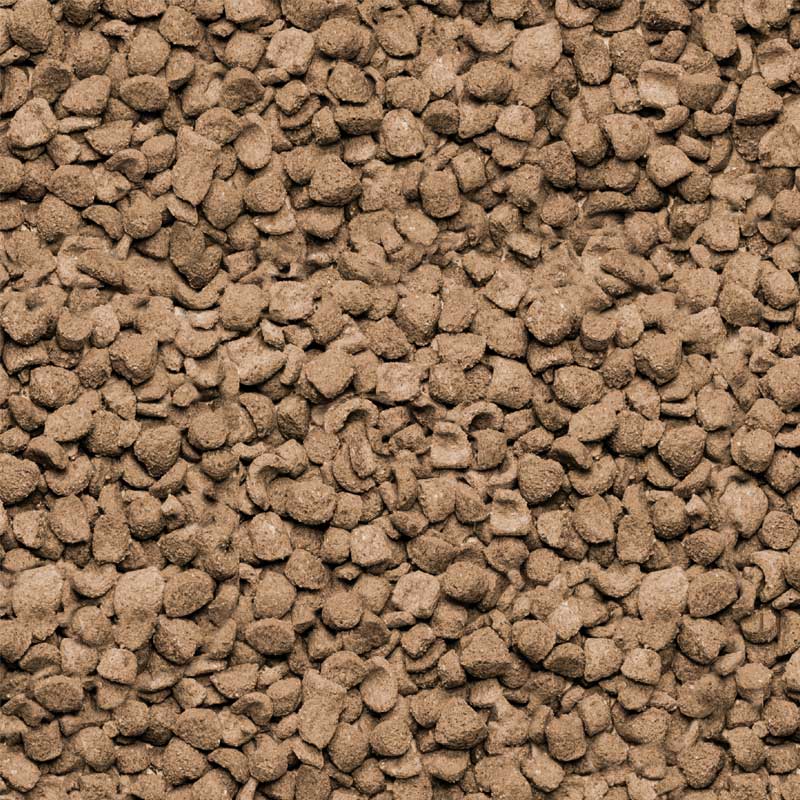 Beaphar Care+ Alimento Cuyes 1,5 Kg