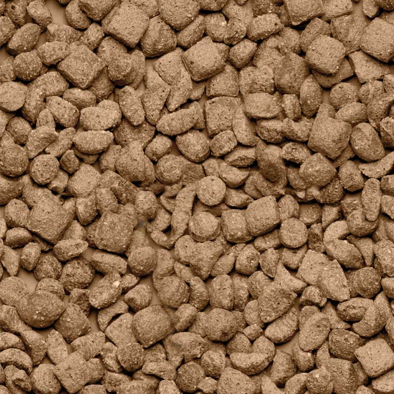 Beaphar Care+ Alimento Hámsters 700 gr