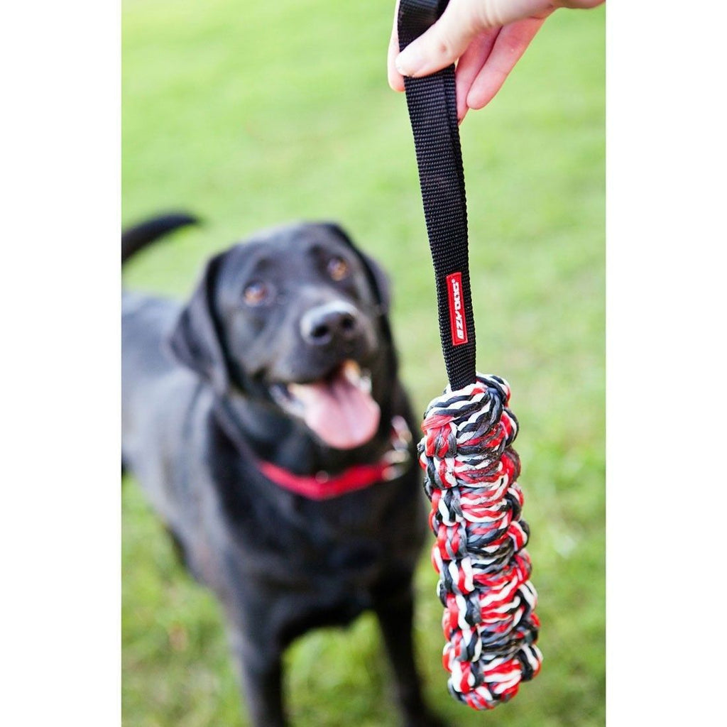 Juguete "Beaver Tail"